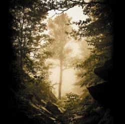 Hiverna : Hiver, Nostalgie et Amertume